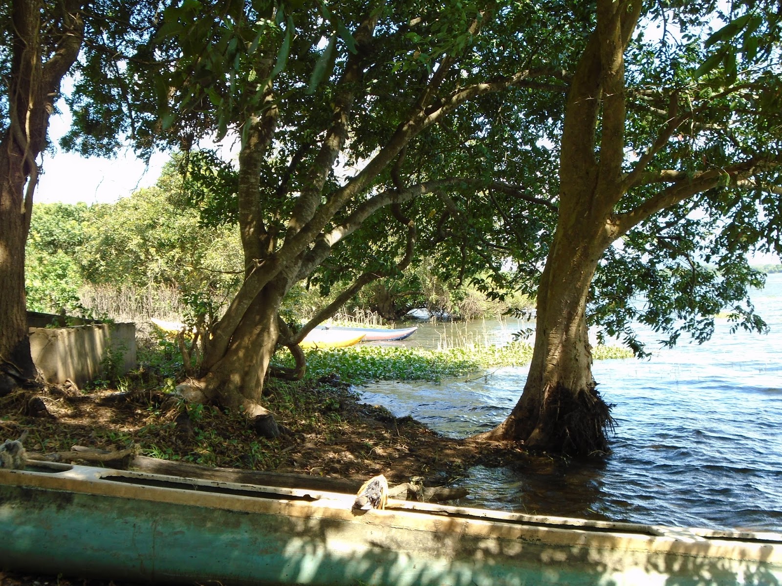 DSC00199.JPG