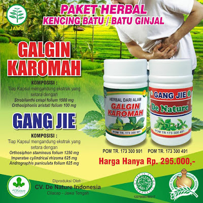 obat kencing batu