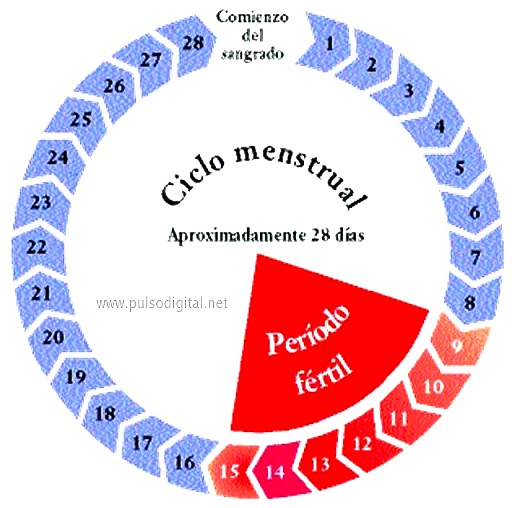 Como calcular el periodo fertil