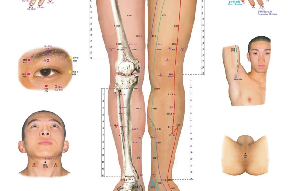 How an Acupuncture Point Diagram Helps Diagonize Disease.