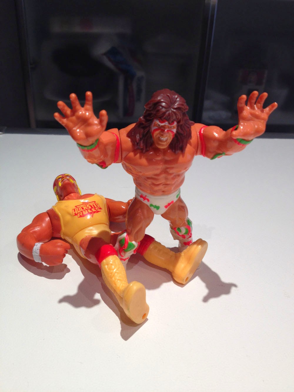 Ultimate Warrior Hulk Hogan Gig