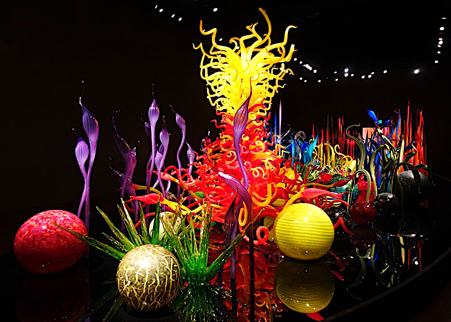 Chihuly Garden and Glass - Seattle, WA | Plain Chicken