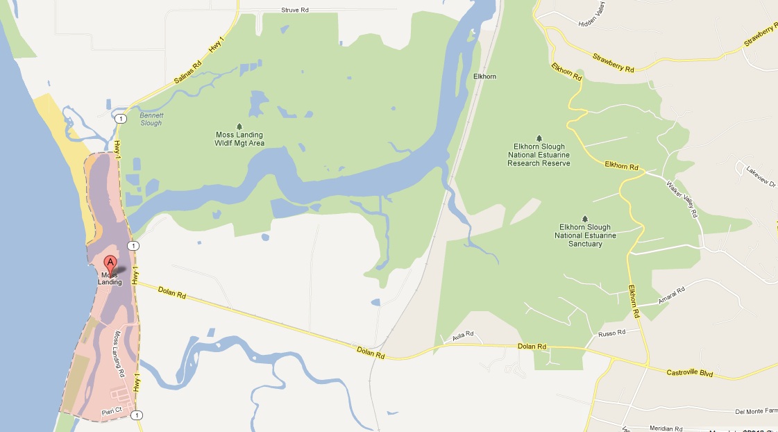 America's National Parks 美国国家公园 WEEKEND GETAWAY IDEAS Moss Landing