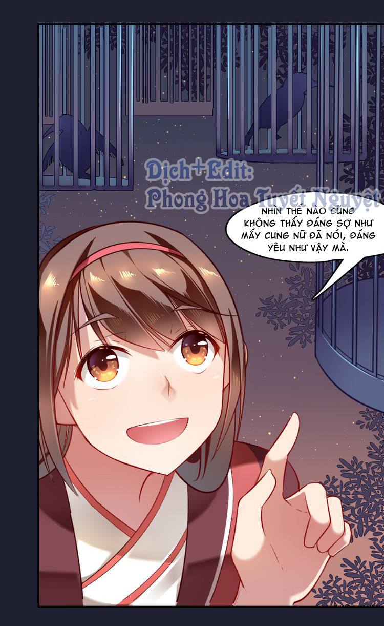 Cẩm Lý Quy Chap 1 - Next Chap 2