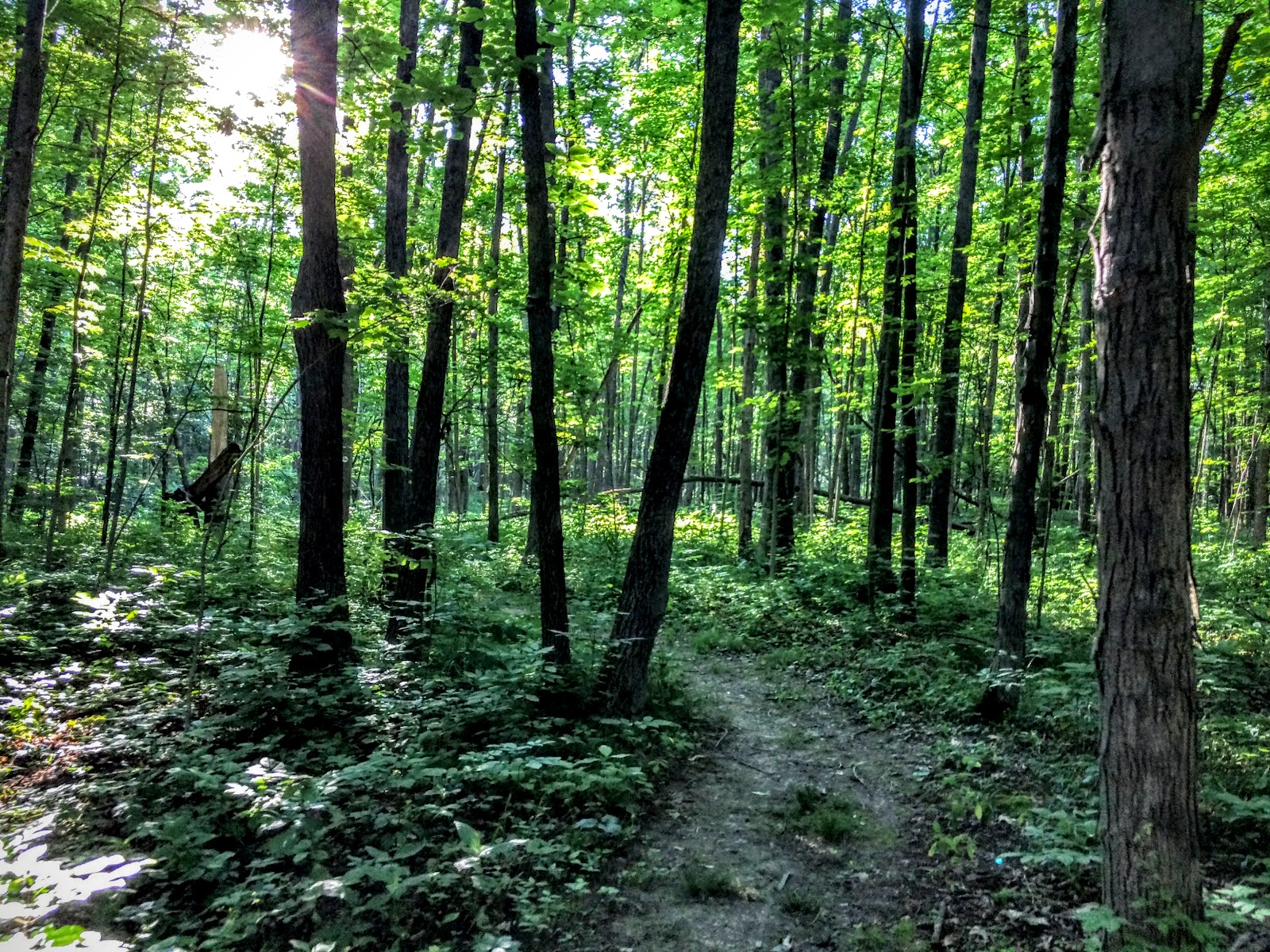Fort Wayne Run Review [Review] Devil's Hollow Cedar Canyons Rd