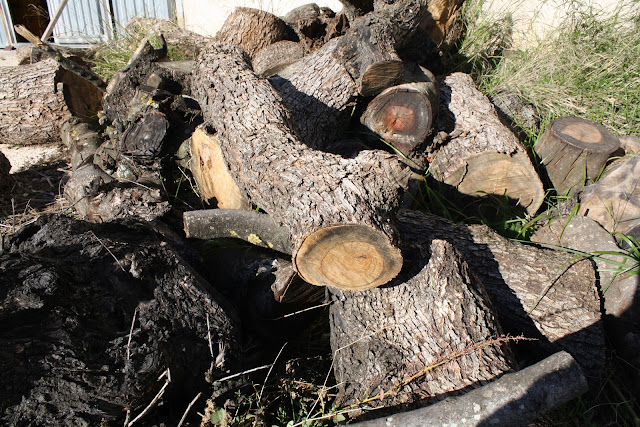 ARTESANIA EN MADERA DE OLIVO: UTENSILIOS DE COCINA 1
