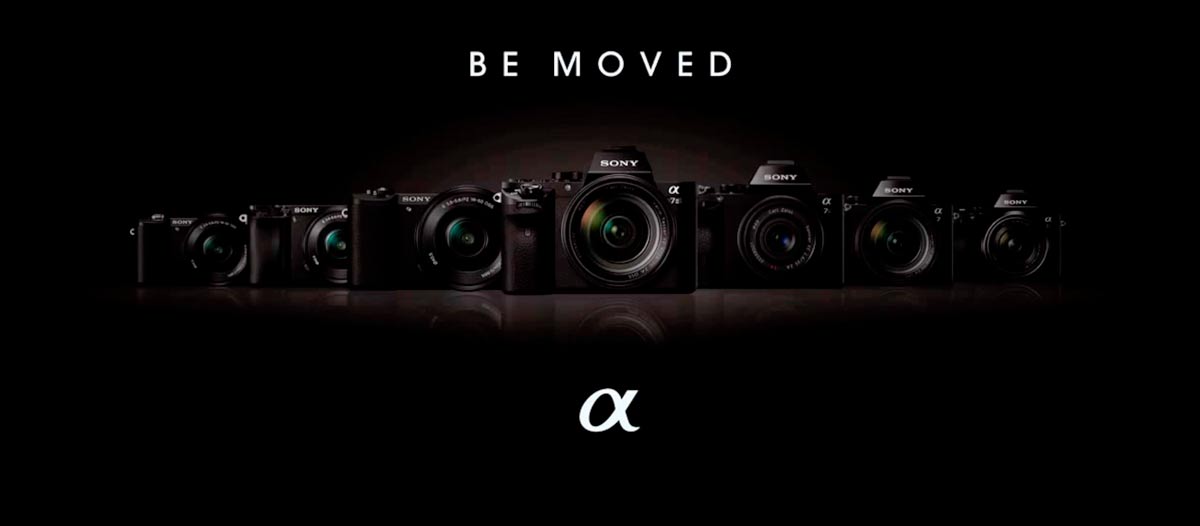 Dear Sony Thank you for the mirrorless camera revolution