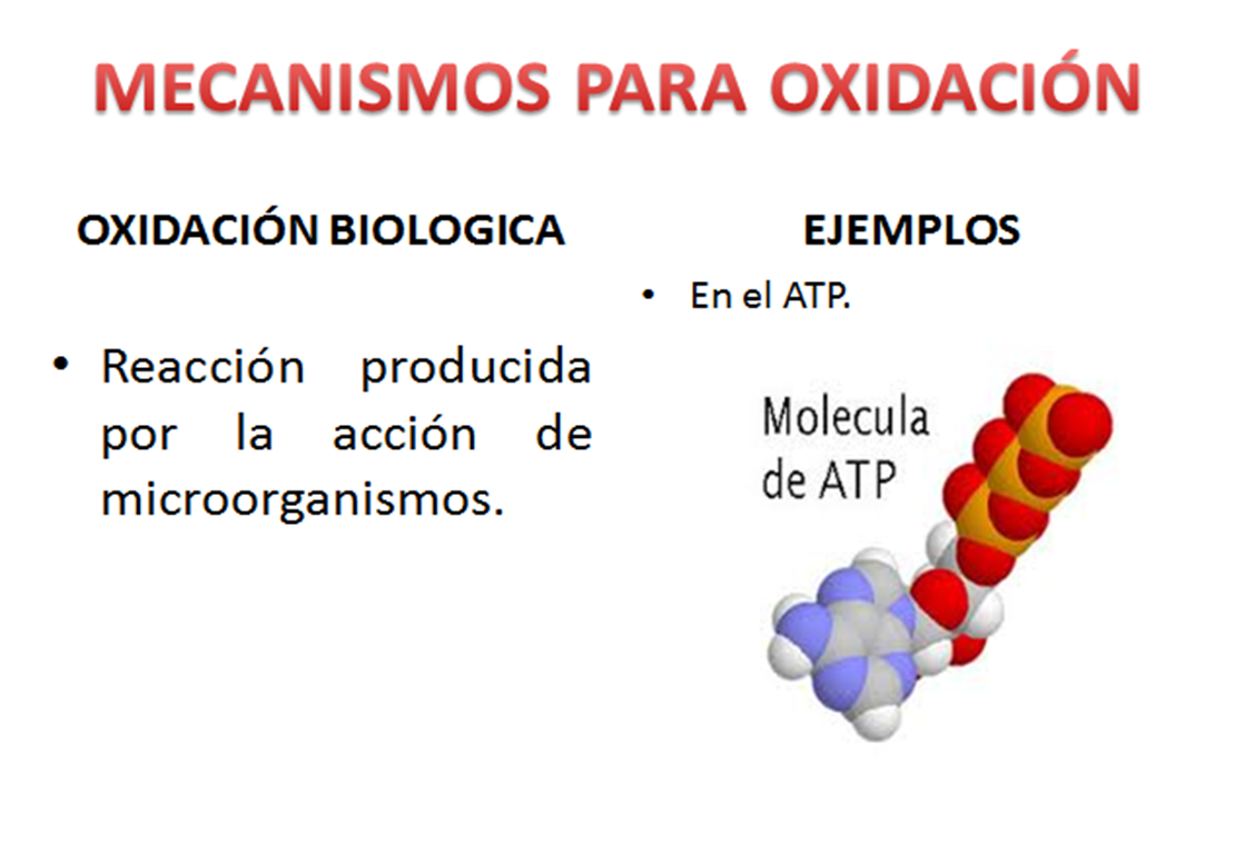 TEMAS DE CIENCIAS NATURALES LA OXIDACIÓN