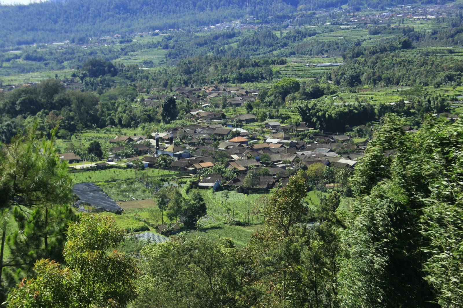 Desa Dalangan dari Telomoyo