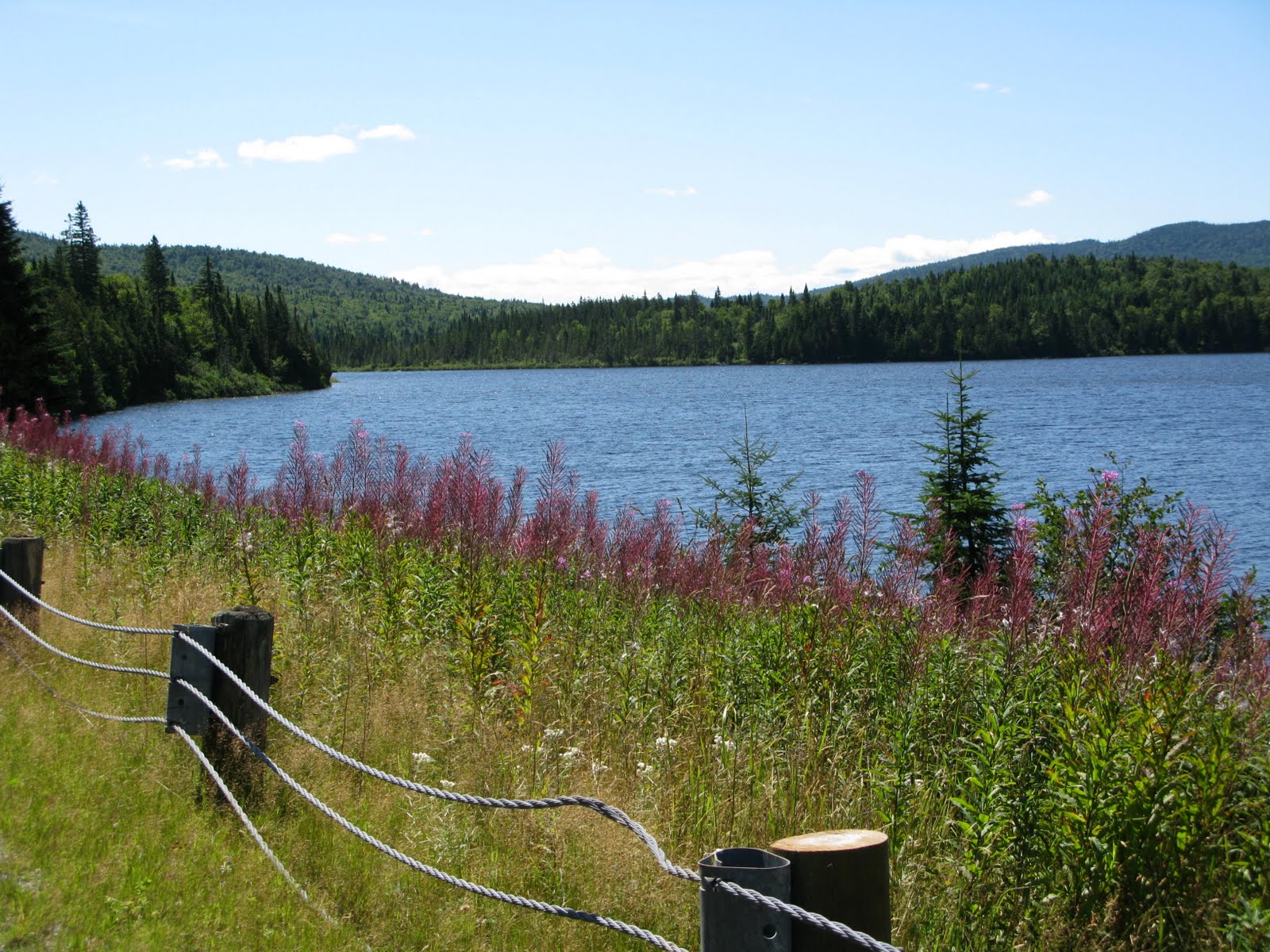 Meandering... Connecticut Lakes