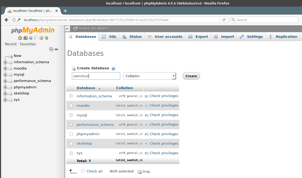 Localhost info. Localhost info