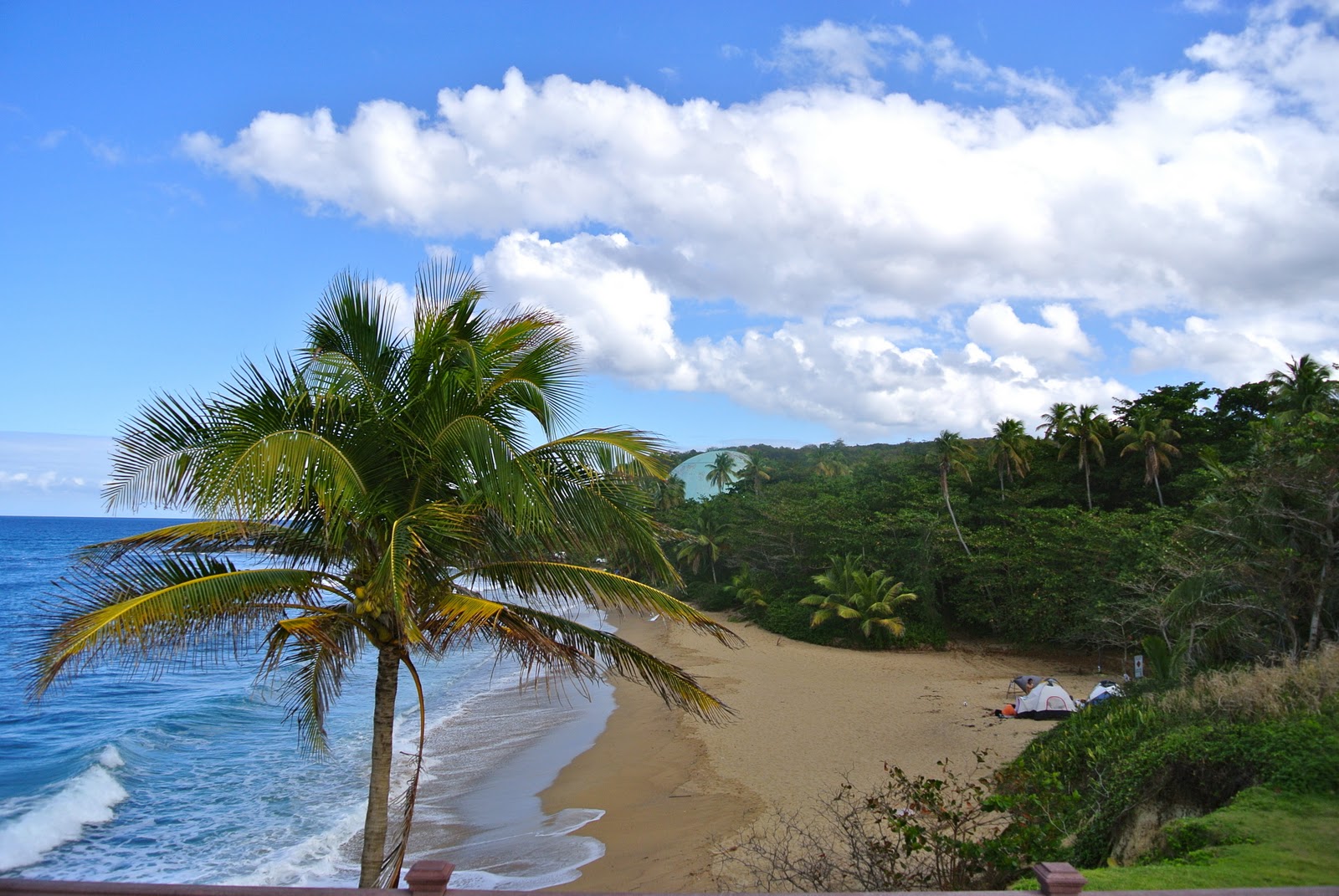 Lucy's Flat Stanley 2 Adventure A visit to Rincon, Puerto Rico