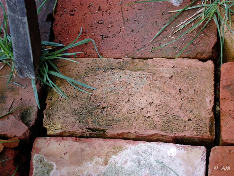 Fotoblicke: April 2013