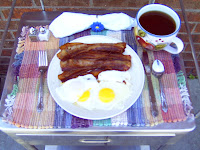 Bacon Fryer9