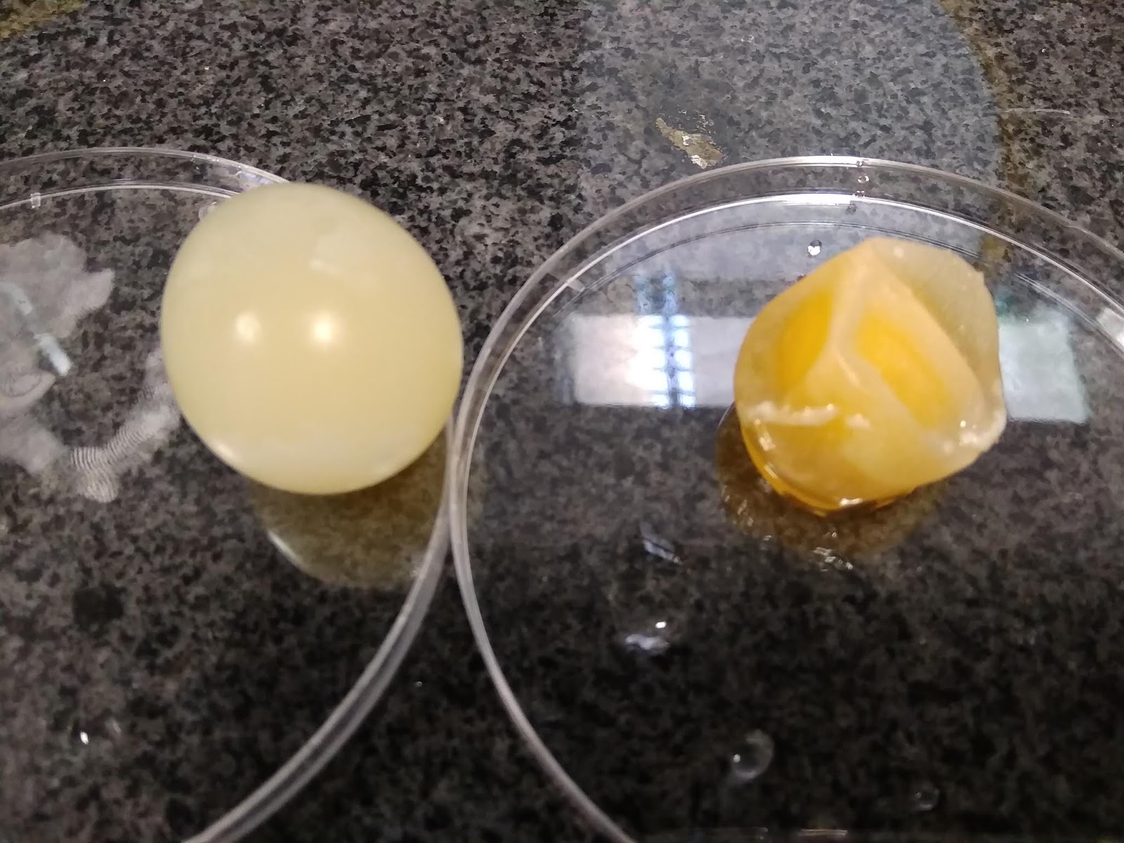 Actuaciencia Ósmosis