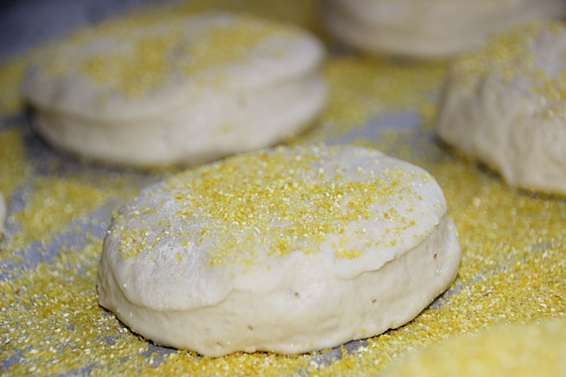 Kochen....meine Leidenschaft Toasties