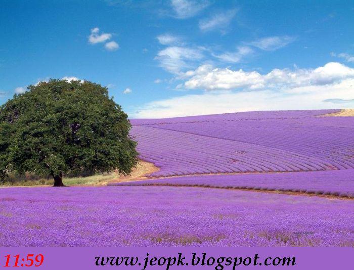 Innocent Pranks: Nature photography