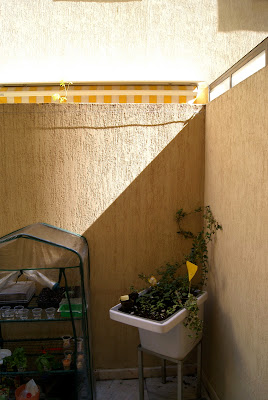 Decoración inexperta: La primavera en mi patio interior