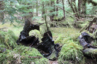 History of logging in Haida Gwaii