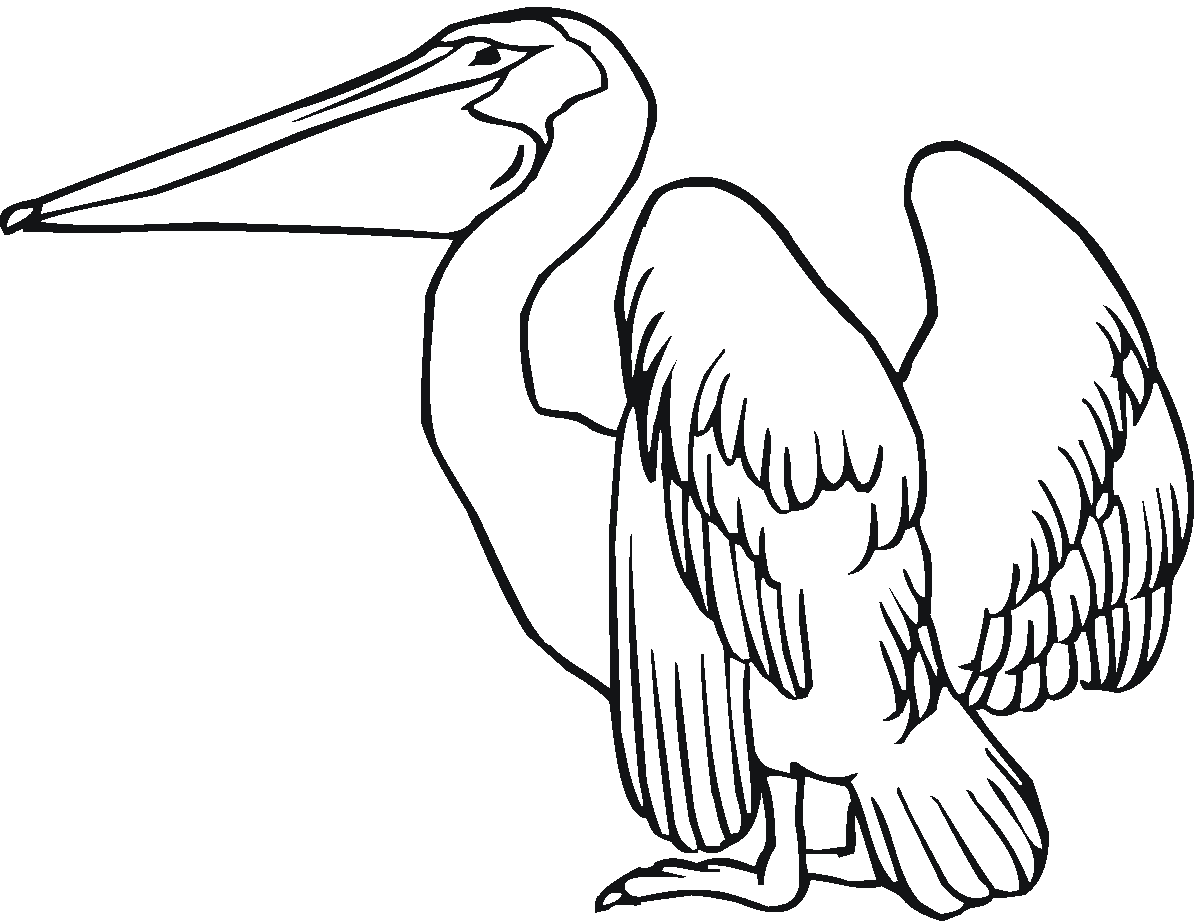 oddrey coloring pages - photo #10