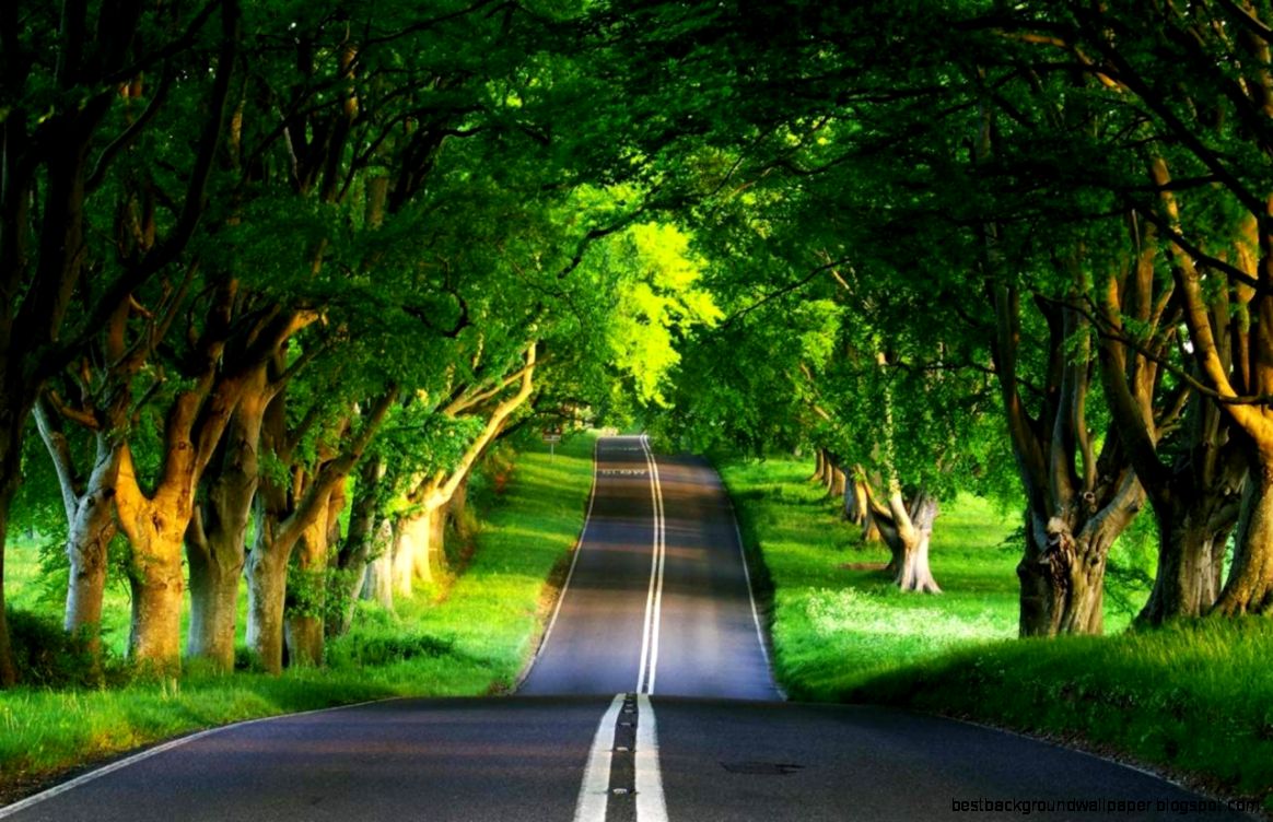 Nature Desktop Wallpaper Collection 33
