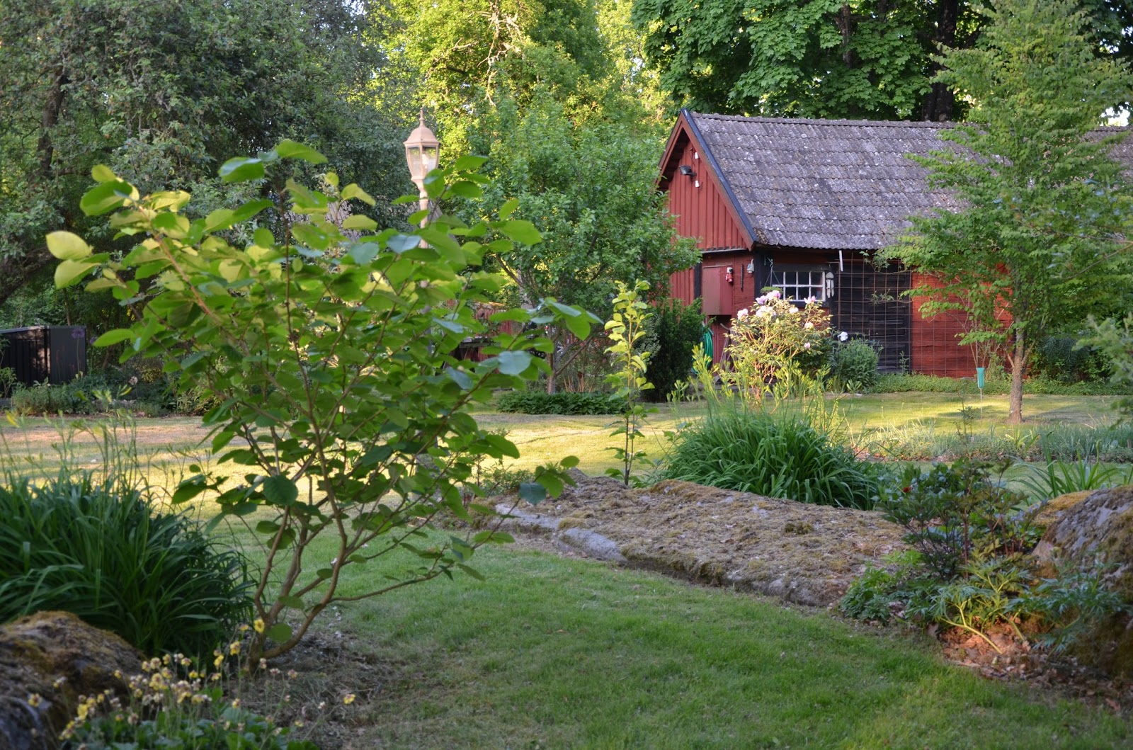 Min trädgård Öppen trädgård