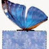Cajas para Fiesta de 15 Años, con Cierre en Forma de Mariposa Realista en Azul, para Imprimir Gratis. 
