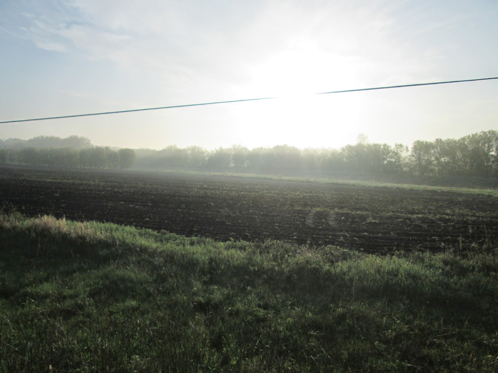 Kaylani Ficklins Mission: May 2014