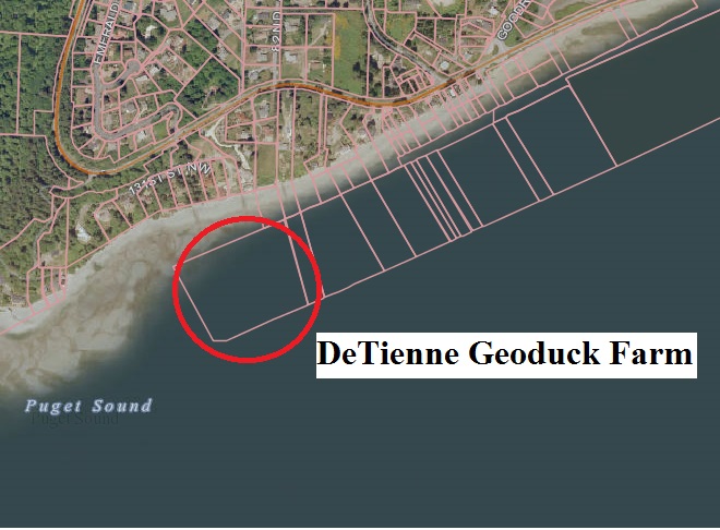 Protect Our Shoreline News: Pierce County Public Hearing March 27 on ...