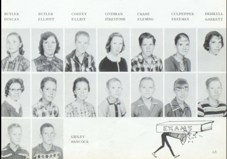 Hokes Bluff School System