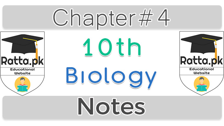 10th Biology Chapter 4 Support and Movement Notes