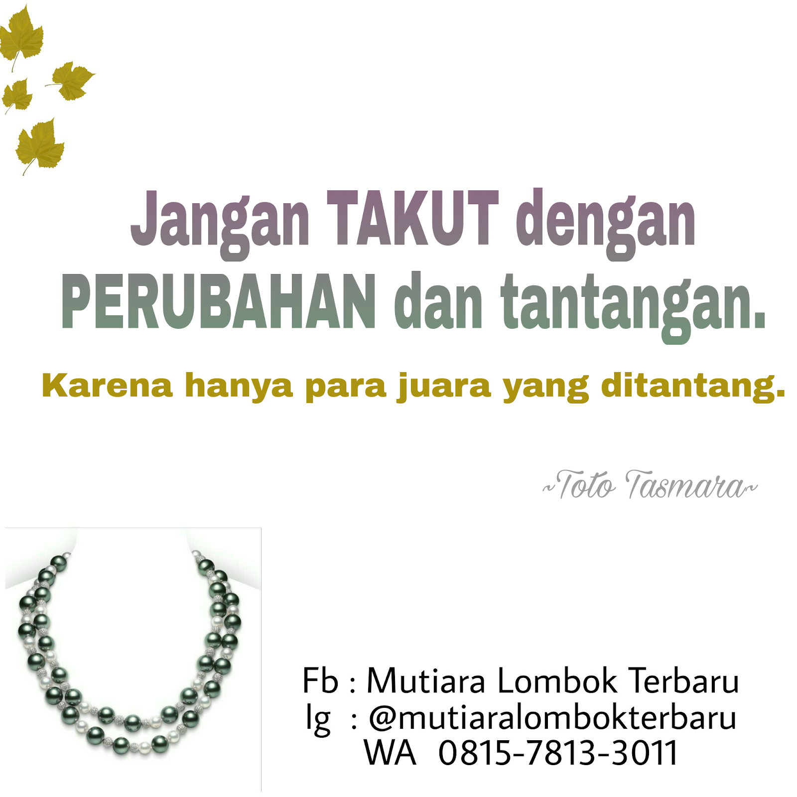 Jual Mutiara Lombok Terbaru