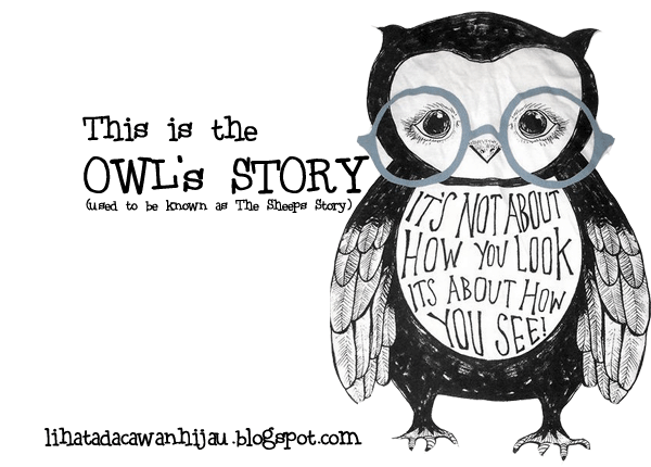 The Owl's Story