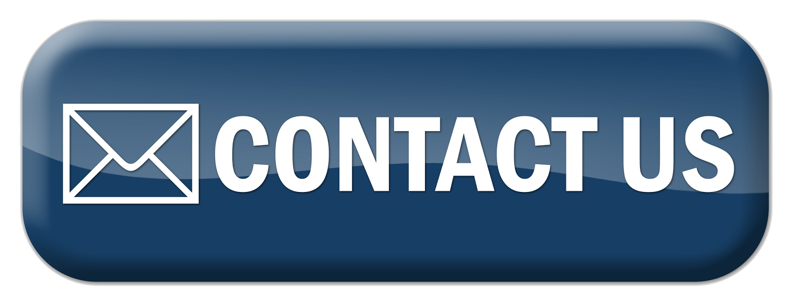 PIZZA IN THE PARK CONTACT US