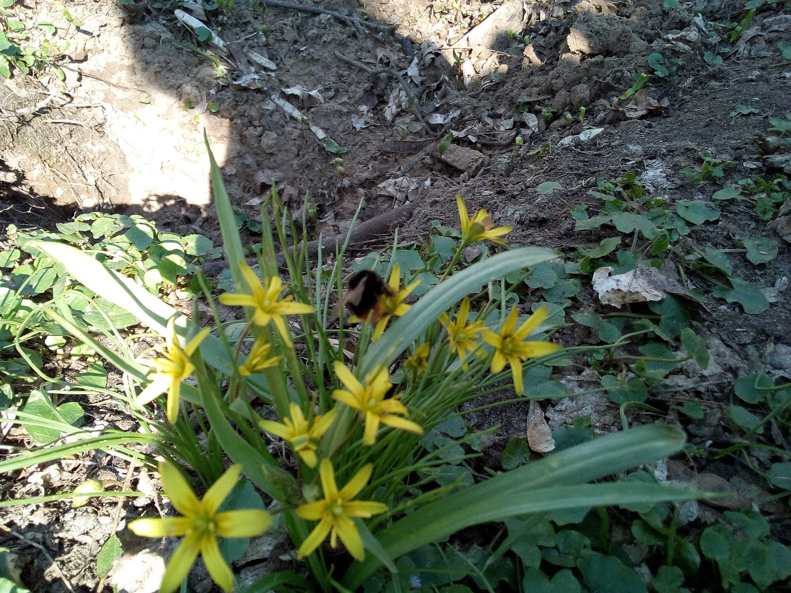 Lucy Und Rasselbande Testet 03 16 17