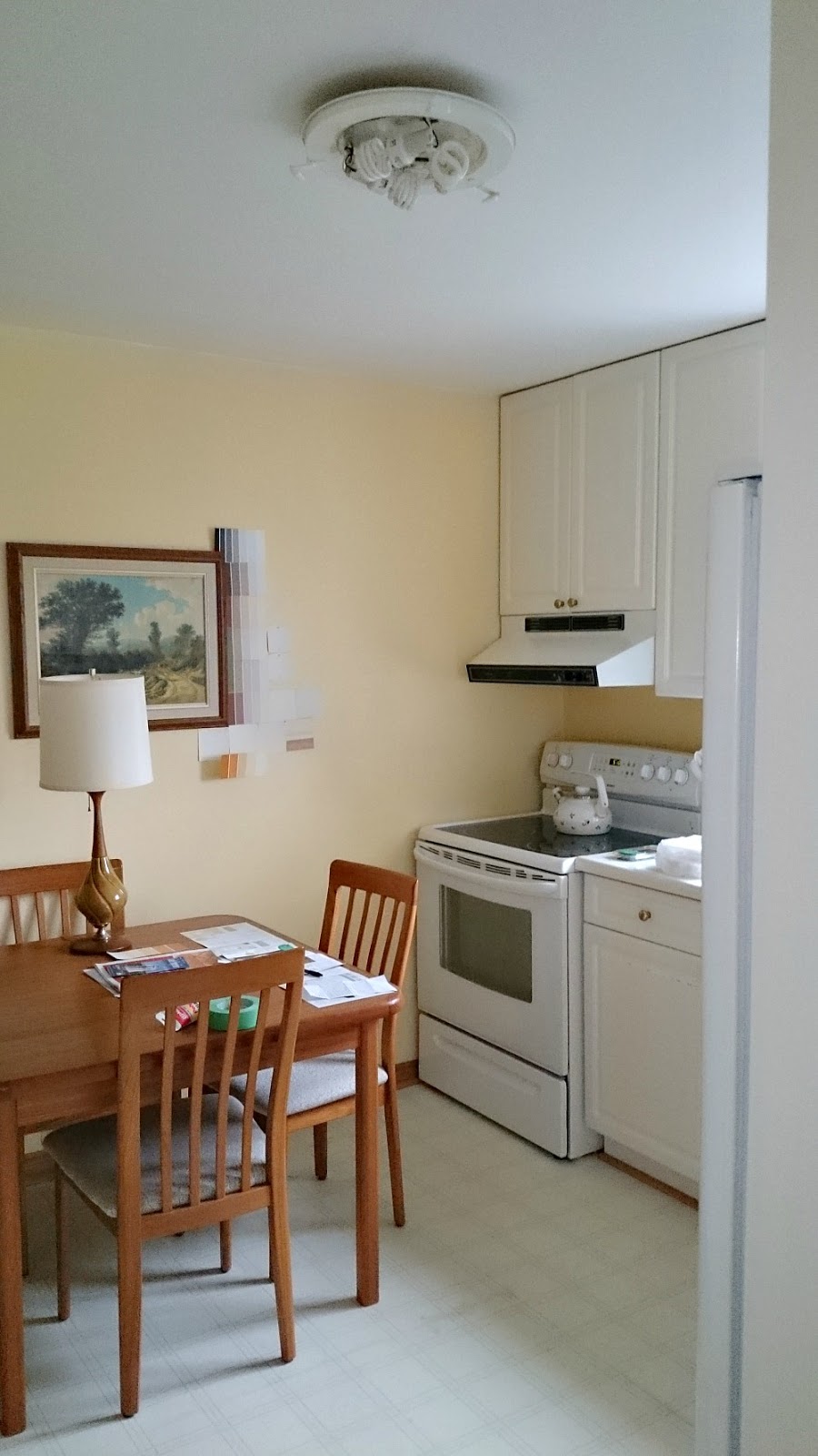 Diy Budget Friendly Kitchen Makeover Dans Le Lakehouse