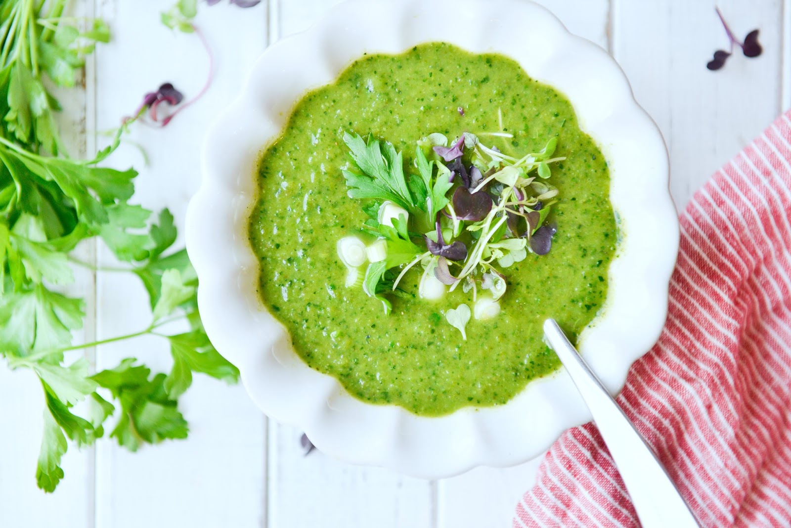 Nourishing Meals® Green Kale Detox Soup