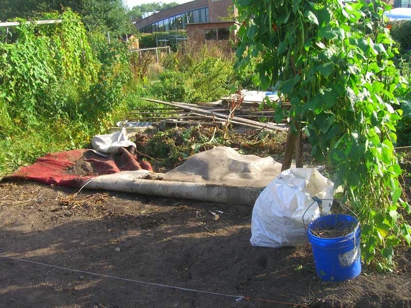 Allotment Garden Starting to clear and triple dig a new allotment.(2)
