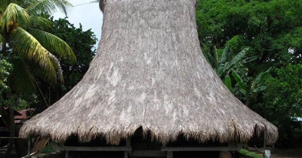 Rumah Adat Nusa Tenggara Timur (Musalaki), Gambar, dan ...