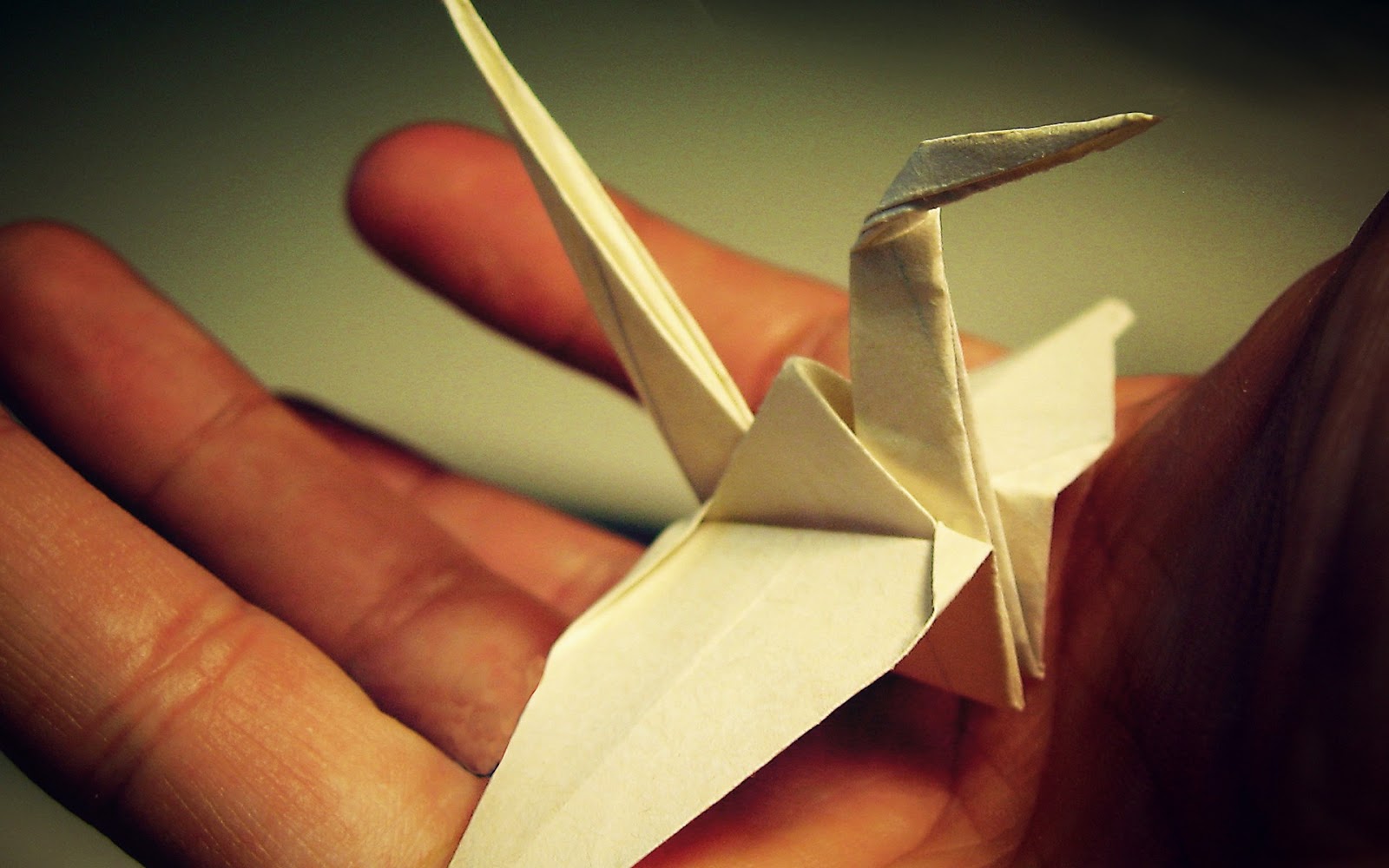 D' ART Origami