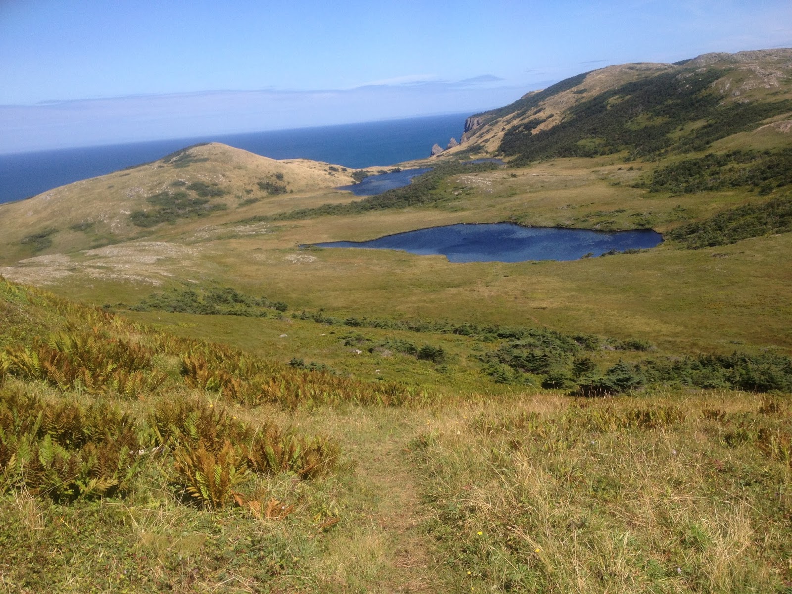 travels Cap de Miquelon, Miquelon, St. Pierre & Miquelon, France