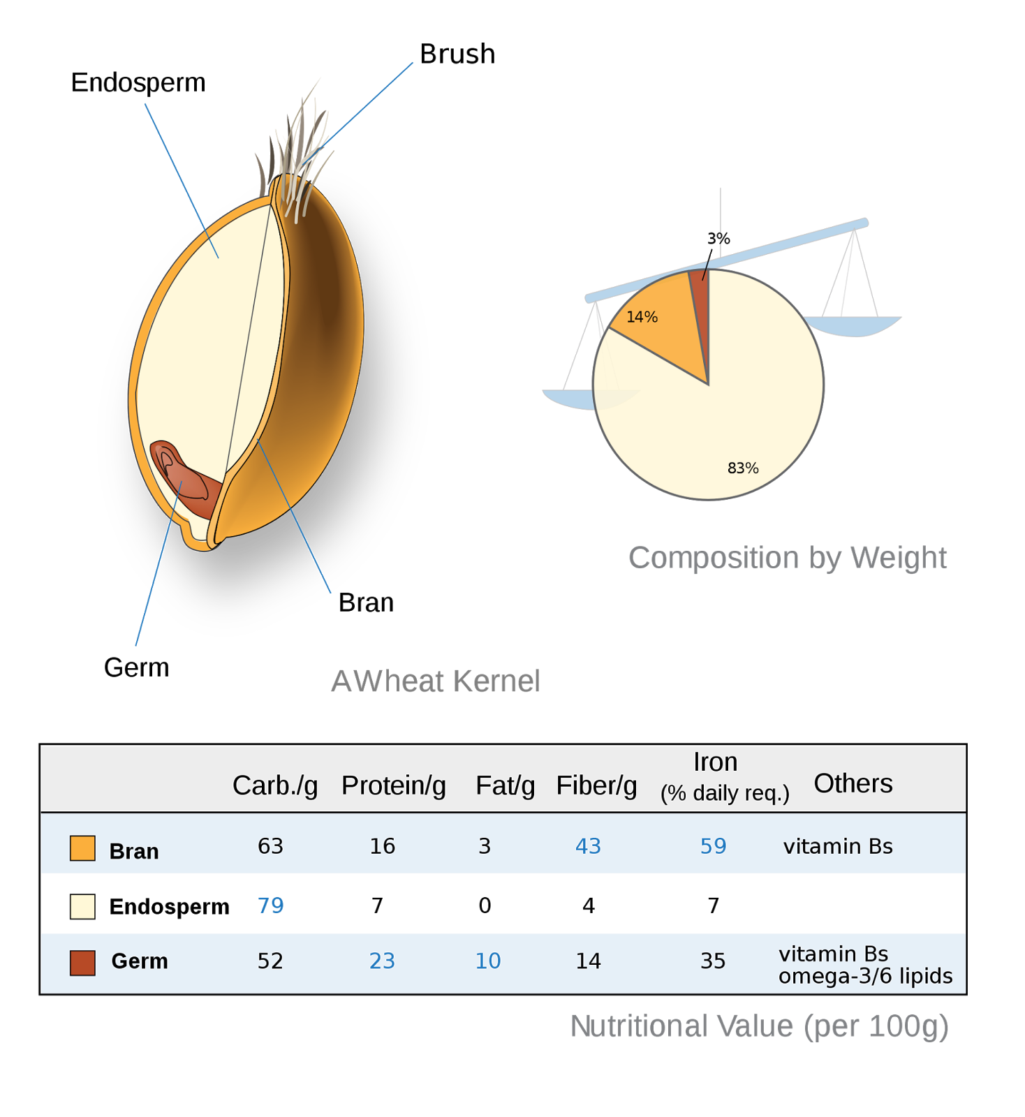 Difference Between Maida and Wheat Flour Food is medicine