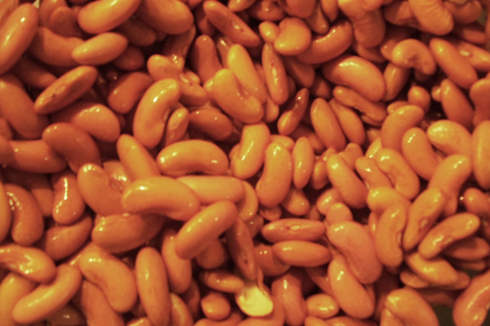 Somanabolic Muscle Maximizer Review Kyle Leon Review Foods That