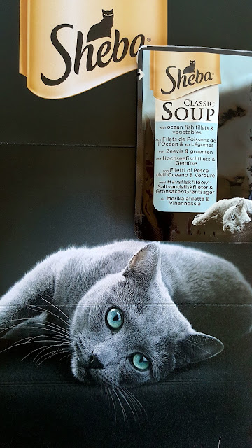 sheba soup test