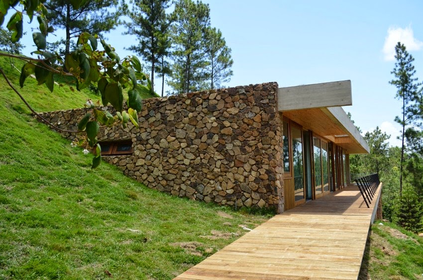 modern grass roof house