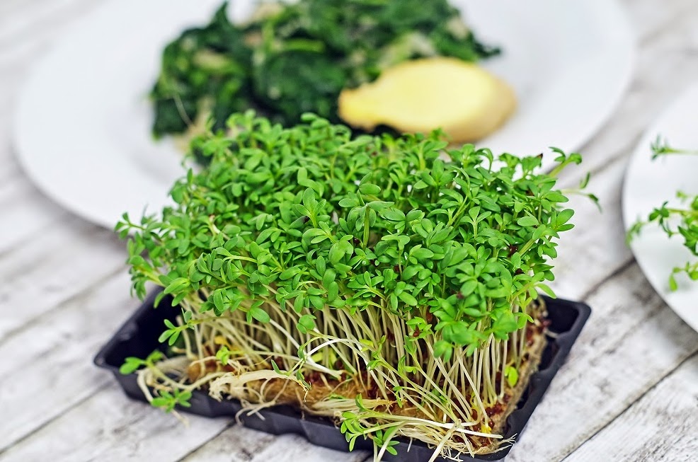 stuttgartcooking: Toast mit Kresse, Champignons, gedünsteten Birnen ...