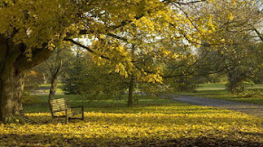 ROYAL BOTANIC GARDENS, KEW