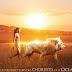 Bande annonce teaser pour Mia et le Lion Blanc de Gilles de Maistre