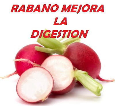 rabano ayuda a la digestion rabano para la digestion