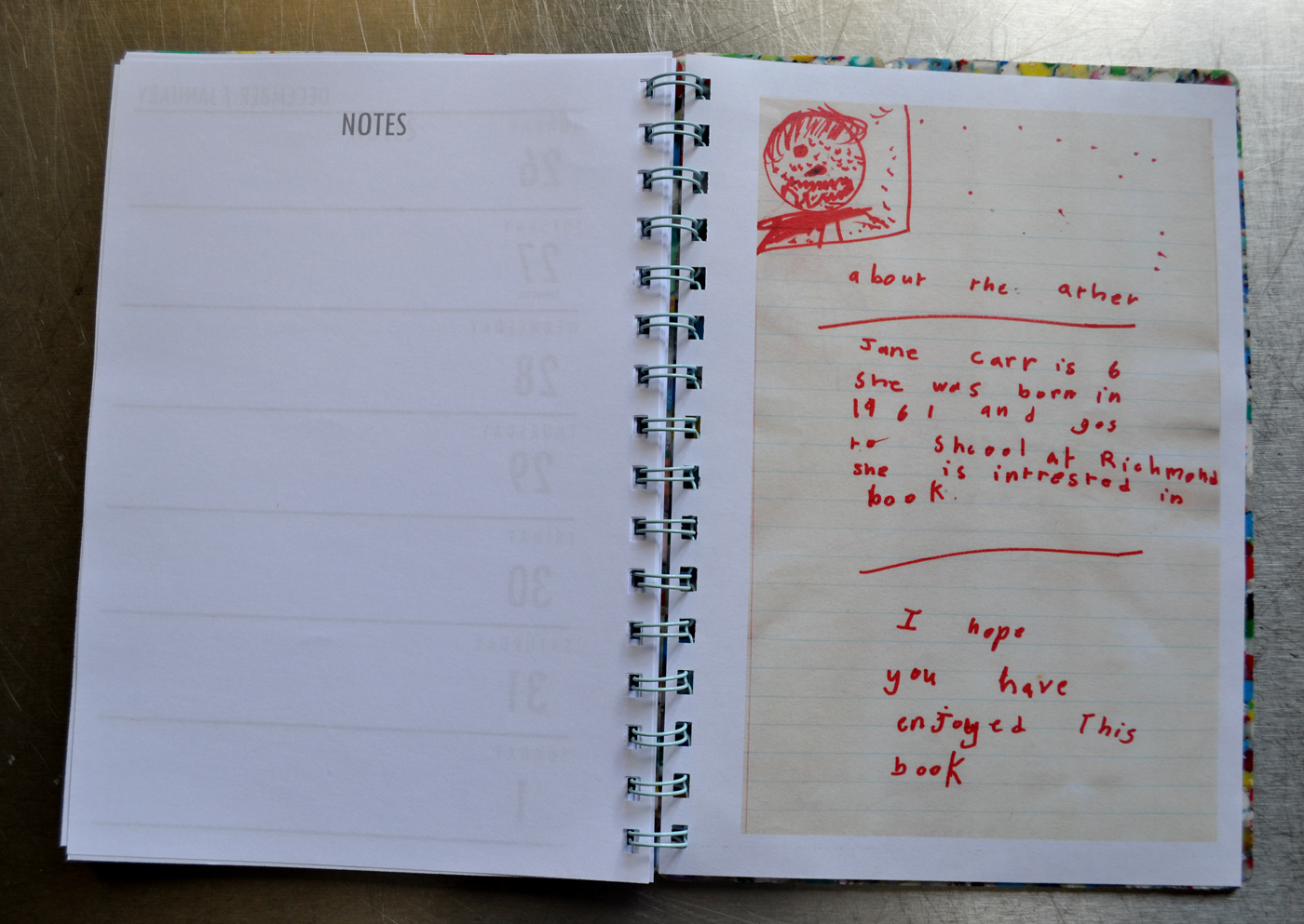 Things to Make and Do New diary